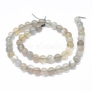 Natural Grey Moonstone Beads Strands, Round, 12mm, Hole: 1mm, about 3033pcs/strand, 15.7 inch(40cm)(G-F632-24-05)
