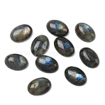 Natural Labradorite Cabochons, Oval, 14x10x4.5mm(G-F815-01B)
