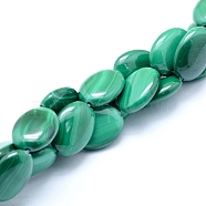 Natural Malachite Beads Strands, Oval, 15.5~16x12x5mm, Hole: 0.8mm, about 25pcs/strand, 15.75 inch(40cm)(G-D0011-11E)