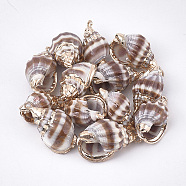 Electroplate Spiral Shell Pendants, with Iron Findings, Golden, Sienna, 18~25x9~16x7~12mm, Hole: 1.6mm(X-SSHEL-T009-12)
