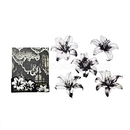 10Pcs 5 Style PET Self-Adhesive Lily Stickers, Waterproof Flower Decals for DIY Scrapbooking, Black, 75~83x80~86x0.3mm, 2pcs/style(STIC-P006-A04)