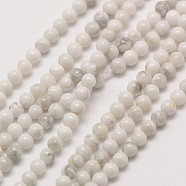 Natural Howlite Round Bead Strands, 2mm, Hole: 0.8mm, about 184pcs/strand, 16 inch(X-G-A130-2mm-L02)