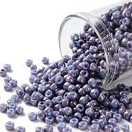 TOHO Round Seed Beads, Japanese Seed Beads, (1204) Opaque Light Blue Amethyst Marbled, 8/0, 3mm, Hole: 1mm, about 222pcs/10g(X-SEED-TR08-1204)