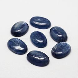 Oval Natural Kyanite/Cyanite/Disthene Cabochons, 18x13x4~6mm(G-O147-01F)