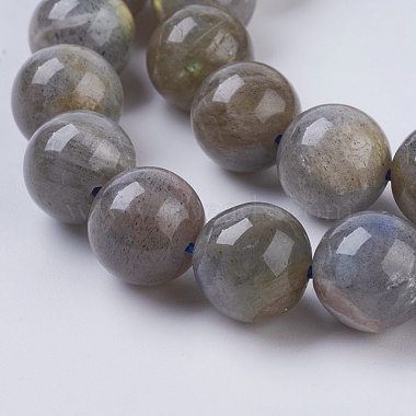 Natural Labradorite Beads Strands(G-G212-10mm-23)-3