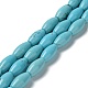 Natural Howlite Beads Strands(G-E604-I01)-1