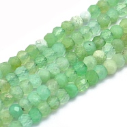 Natural Chrysoprase Beads Strands, Rondelle, Faceted, 3x2mm, Hole: 0.5mm, about 194~195pcs/strand, 15.7 inch(40cm)(G-O172-06)
