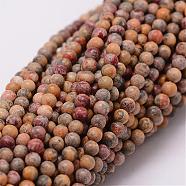Natural Leopard Skin Jasper Beads Strands, Round, 2mm, Hole: 0.5mm, about 190pcs/strand(G-N0187-02-2mm)