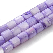 Natural Freshwater Shell Beads Strands, Dyed, Column, Medium Purple, 4~5.5x5mm, Hole: 0.6mm, about 74~75pcs/strand, 14.76~14.96 inch(37.5~38cm)(SHEL-F008-04C)
