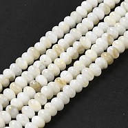 Natural Freshwater Shell Beads Strands, Rondelle, Beige, 6x4mm, Hole: 0.9mm, about 97pcs/strand, 15.31~15.39''(38.9~39.1cm)(BSHE-E026-15B-01)