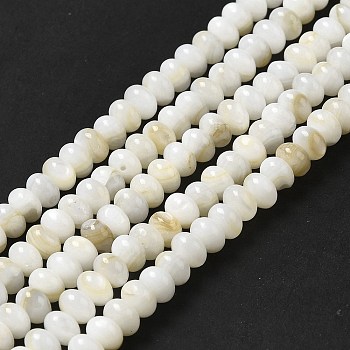 Natural Freshwater Shell Beads Strands, Rondelle, Beige, 6x4mm, Hole: 0.9mm, about 97pcs/strand, 15.31~15.39''(38.9~39.1cm)