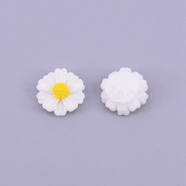 cabochons de la resina(RESI-CJC0001-70D-01)-1