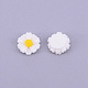 cabochons de la resina(RESI-CJC0001-70D-01)-1