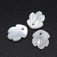 Leaf Natural White Shell Mother of Pearl Shell Charms, 11x9x2mm, Hole: 1mm(SSHEL-E553-69)