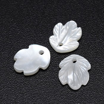 Leaf Natural White Shell Mother of Pearl Shell Charms, 11x9x2mm, Hole: 1mm