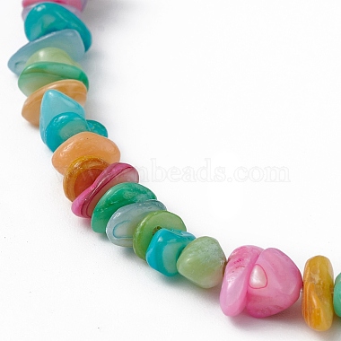 Dyed Natural Freshwater Shell Beads Strands(BSHE-G033-05)-3