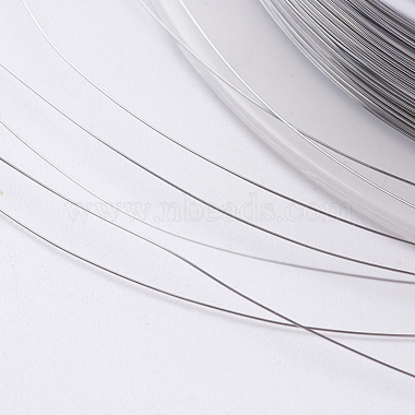 Steel Wire(TWIR-E001-0.15mm)-3