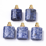 Natural Blue Spot Jasper Openable Perfume Bottle Pendants, with Golden Tone Brass Findings, Essential Oil Bottle, 31~33x20.5x10.5mm, Hole: 2.5mm, Capacity: 1~2ml(0.03~0.06 fl. oz)(G-T130-14B)