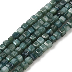 Natural Freshwater Shell Dyed Beads Strands, Faceted Table Cut Cube, Teal, 3~3.5x3~3.5x3~3.5mm, Hole: 1mm, about 123pcs/strand, 15.35''(39cm)(SHEL-R100-11A-05)