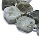 Natural Labradorite Beads Strands(G-K245-J21-01)-3