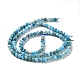 Natural Apatite Beads Strands(G-J400-E04-01)-3