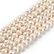 Natural Cultured Freshwater Pearl Beads Strands(PEAR-L033-28-01)-1