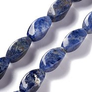 Natural Sodalite Beads Strands, Twist, 17x8x8mm, Hole: 1mm, about 24pcs/strand, 15.55''(39.5cm)(G-L243A-18)