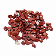 Natural Red Jasper Beads, No Hole/Undrilled, Chips, 8~20x5~10x1~7mm(X-G-Q947-38)