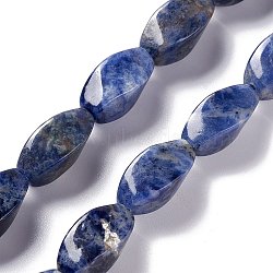Natural Sodalite Beads Strands, Twist, 17x8x8mm, Hole: 1mm, about 24pcs/strand, 15.55''(39.5cm)(G-L243A-18)