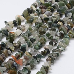 Natural Indian Agate Beads Strands, Chip, Light Sea Green, 3~5x7~13x2~4mm, Hole: 0.4mm, 34.9 inch(G-F328-12)