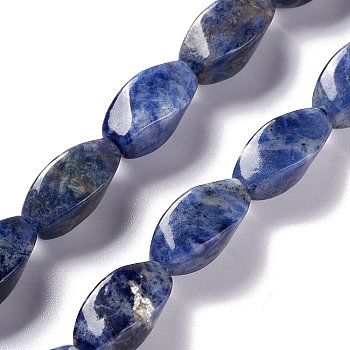 Natural Sodalite Beads Strands, Twist, 17x8x8mm, Hole: 1mm, about 24pcs/strand, 15.55''(39.5cm)