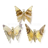 Natural Fluorite Mineral Ornaments, with Butterfly Alloy Holder, for Home Desktop Feng Shui Ornament, 75~82.5x89~104.5x15~16.5mm(G-D089-02P-01)