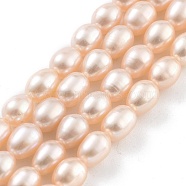 Natural Cultured Freshwater Pearl Beads Strands, Rice, Grade 5A, PeachPuff, 4~5mm, Hole: 0.6mm, about 26~27pcs/strand, 7.09''~7.28''(18~18.5cm)(PEAR-P062-06G)