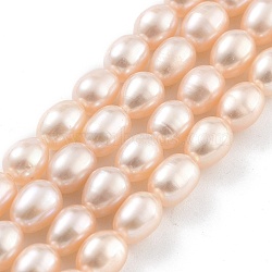 Natural Cultured Freshwater Pearl Beads Strands, Rice, Grade 5A, PeachPuff, 4~5mm, Hole: 0.6mm, about 26~27pcs/strand, 7.09''~7.28''(18~18.5cm)(PEAR-P062-06G)