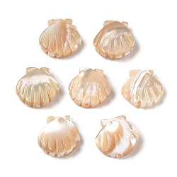 Natural Trochus Shell Carved Beads, Shell Shape, Seashell Color, 13x12x3mm, Hole: 0.8mm(SHEL-P017-08B)