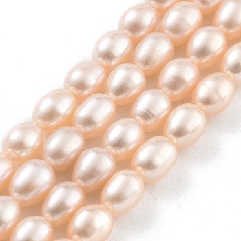 Natural Cultured Freshwater Pearl Beads Strands, Rice, Grade 5A, PeachPuff, 4~5mm, Hole: 0.6mm, about 26~27pcs/strand, 7.09''~7.28''(18~18.5cm)