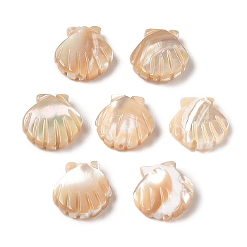 Natural Trochus Shell Carved Beads, Shell Shape, Seashell Color, 13x12x3mm, Hole: 0.8mm