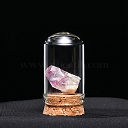 Raw Natural Amethyst Nuggets Ornaments, Glass & Wood Bell Jars Mineral Specimens Statues for Home Desktop Feng Shui Decoration, 55x35mm(PW-WG13785-09)