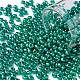 8/0 Glass Seed Beads(SEED-A017-3mm-1118)-1