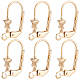 20Pcs Brass Leverback Earring Findings(KK-BBC0029-10)-1