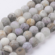 Natural Bamboo Leaf Agate Beads Strands, Frosted, Round, 8mm, Hole: 0.8mm, about 47pcs/strand, 15.3 inch(39cm)(G-J376-13F-8mm)