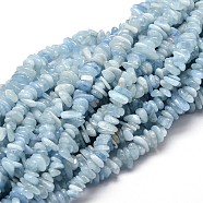 Natural Aquamarine Chip Beads Strands, 5~14x4~10mm, Hole: 1mm, about 15.5 inch~16.1 inch(G-E271-96)
