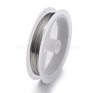 Non-Tarnish 10 Rolls 304 Stainless Steel Wire, Round, for Wire Wrapping Jewelry Making, Stainless Steel Color, 20 Gauge(0.8mm), about 65.62 Feet(20m)/Set(TWIR-H001-01E-P)