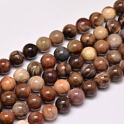 Natural Petrified Wood Round Bead Strands, 8mm, Hole: 1mm, about 43~47pcs/strand, 15 inch(G-F266-08-8mm)