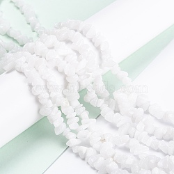 Natural White Jade Beads Strands, Chip, 3~16x3~8mm, Hole: 0.7mm, 80~81cm(X-G-F703-02)