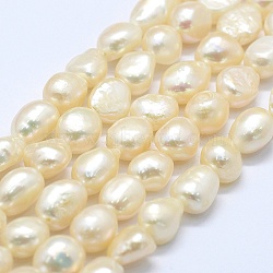 Natural Cultured Freshwater Pearl Beads Strands, Two Sides Polished, Old Lace, 9~13x9~10x6.5~10mm, Hole: 0.2mm, about 33pcs/strand, 14.1 inch(PEAR-K004-03C-01)