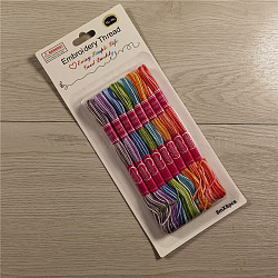 8 Skeins 8 Colors 6-Ply Polycotton(Polyester Cotton) Embroidery Floss, Cross-Stitch Threads, Segment Dyed, Rainbow Color, Mixed Color, 0.8mm, 8m/skein,1 skein/color(PW22063001471)