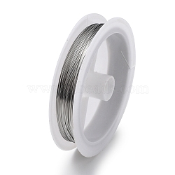 Non-Tarnish 10 Rolls 304 Stainless Steel Wire, Round, for Wire Wrapping Jewelry Making, Stainless Steel Color, 20 Gauge(0.8mm), about 65.62 Feet(20m)/roll(TWIR-H001-01E-P)