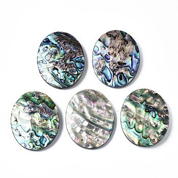 Natural Abalone Shell/Paua Shell Cabochons, with Freshwater Shell, Oval, 50x40x7~9mm