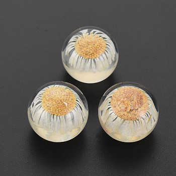 Transparent Acrylic Cabochons, with Dried Flower, Half Round, Creamy White, 20x17.5mm